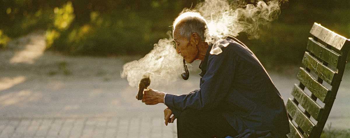 Old man with his pet bird in Ritan Park. Beijing. CHINA. 1984 © Thomas Hoepker / Magnum Photos